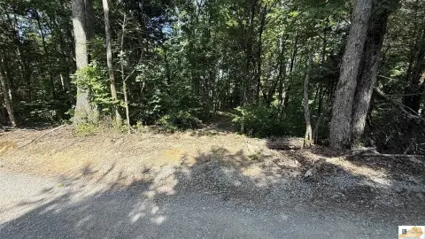 Wooded Recreational Land Tract