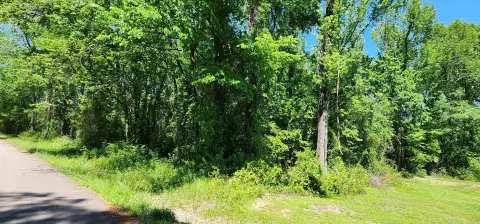 Residential Lot in Quiet Subdivision