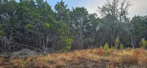 Residential Lot in Bandera Pass