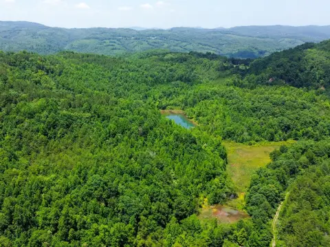 Recreational Waterfront Land Tract