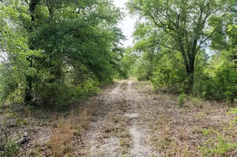 Private-Road Hunting Land