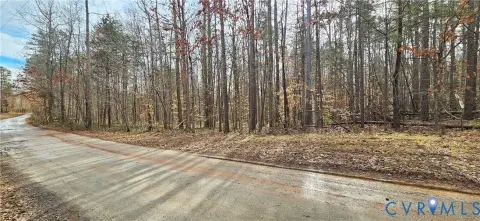 Meherrin, VA Wooded Land Parcel