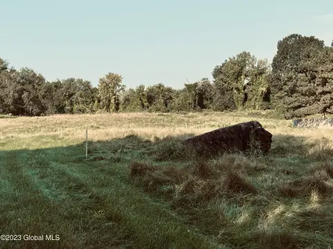 Cohoes Land For Sale