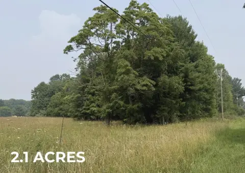 Residential Land Parcel with Mature Trees