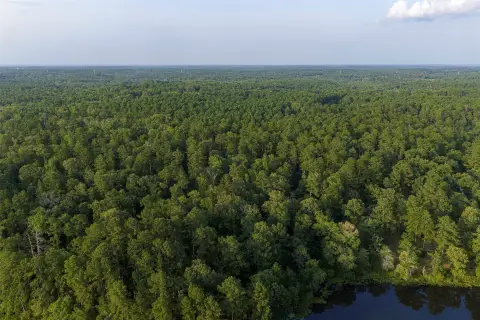 Timber Tract with County Road Frontage