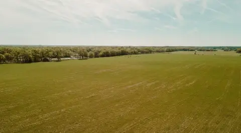 160 Acres Near Dunnellon, Florida