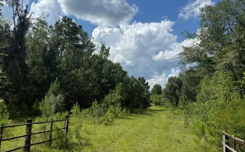 Wooded Private Homesite Land