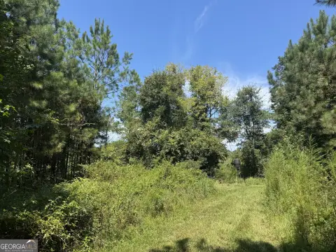 Wooded Hunting and Homesite Land