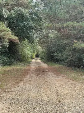 Lumberton, MS Land For Sale