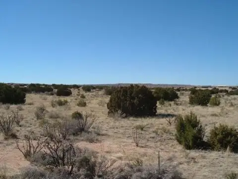 Rio Rancho Land For Sale