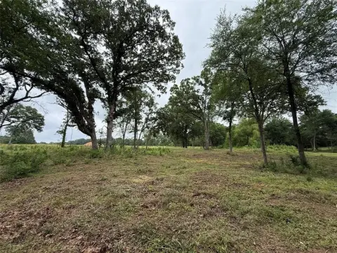 Edgewood, TX Land Opportunity