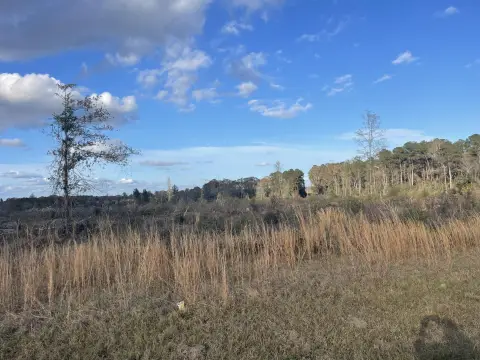 Undeveloped Land Near Bassfield
