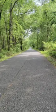 One Acre Lot in Tallahassee