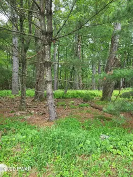 Residential Land in Dingmans Ferry