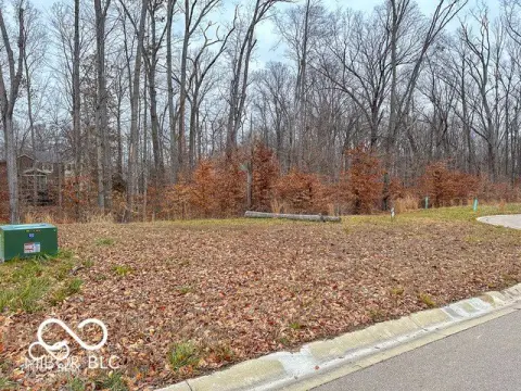 Residential Lot in Tipton Lakes