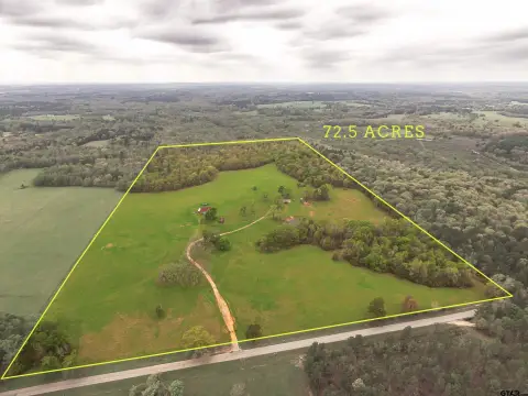 72.5 Acres in East Texas