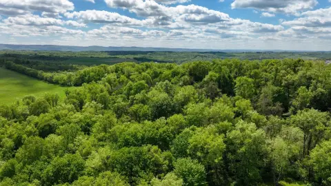 Wooded Recreational Land with Road Access