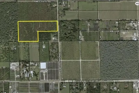 Avocado Grove Farm