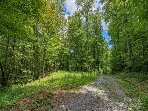 Buildable Lot Near Downtown Waynesville