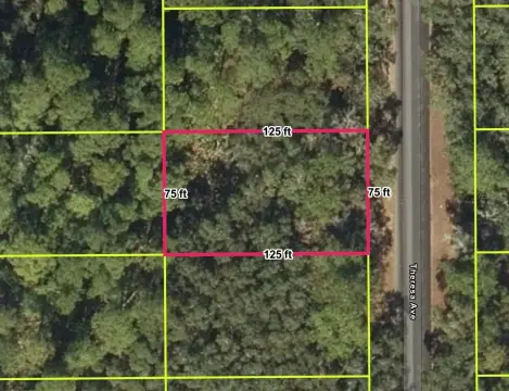 Residential Lot in Interlachen Lakes