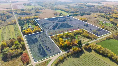 Agricultural Land with Tree Farm Lease