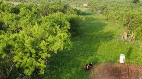 Premier Recreational Ranch in Goldsboro, TX