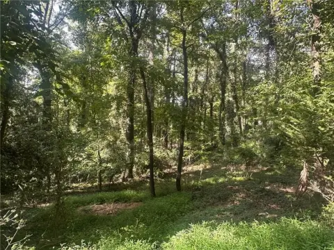Roswell, GA Buildable Land