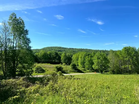 Recreational Vacant Land Acreage
