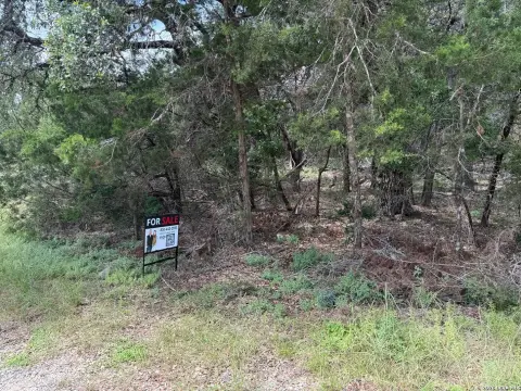 Residential Land Lot with Trees