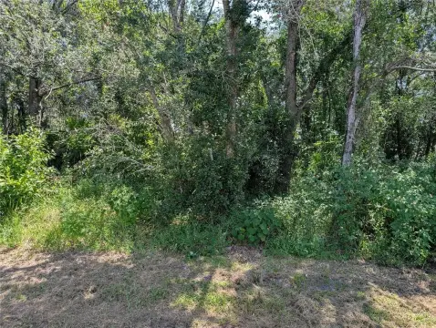 Residential Lot in Poinciana, FL