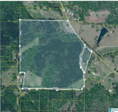 Hunting Land with Mature Timber