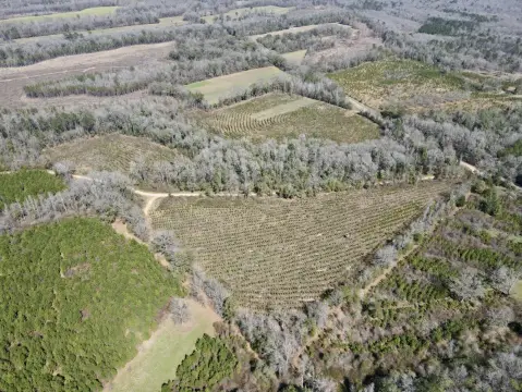 Recreational Land in Coy, Alabama