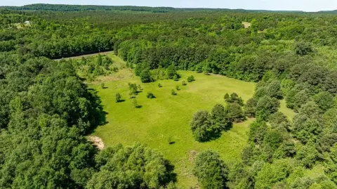 East Texas Hunting and Recreation