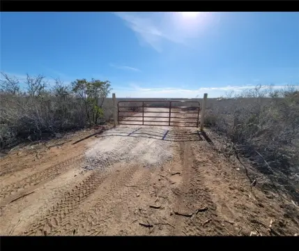 Hunting Land with Wildlife Improvements