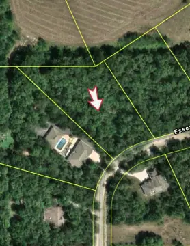 Residential Land in Essex, IL