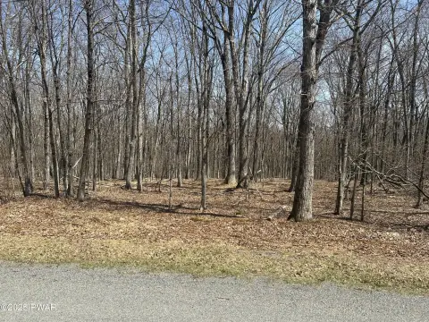 Spacious Lot in Wooded Community