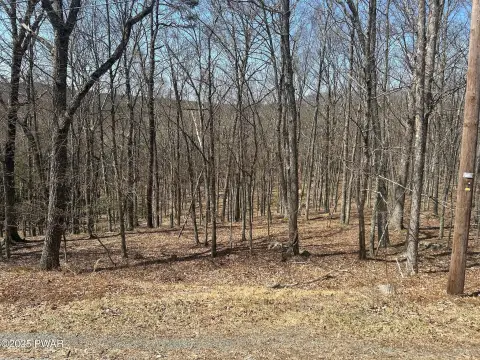 Land Near Lake in Hawley