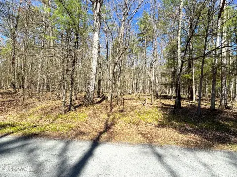 Residential Land Near Woodloch Resort