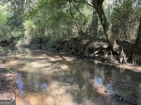 Cuthbert, GA Hunting Land