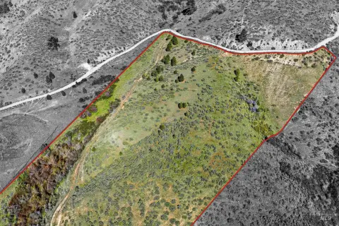 12.4 Acres in Wilderness Ranch