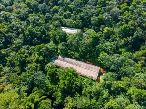 Agricultural Land with Greenhouses