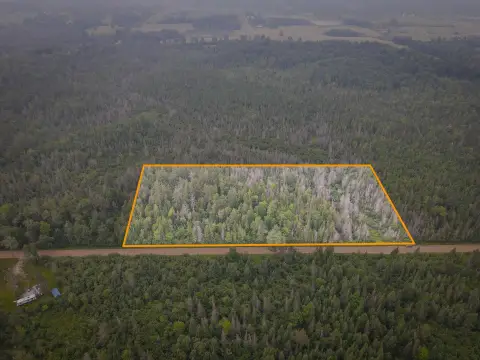 Wooded Recreational Land Parcel