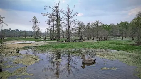 712 Acres Ranch Near Sabine River