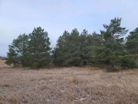 Large City Lot in Bottineau