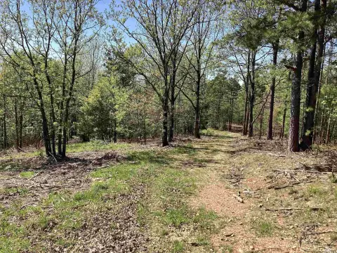 Mena, AR Acreage Home Site