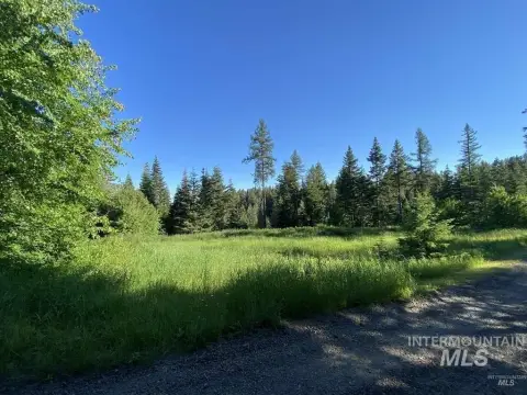 Wooded Land in Waha, ID