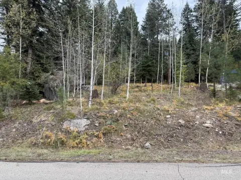 Land in Aspen Ridge, McCall