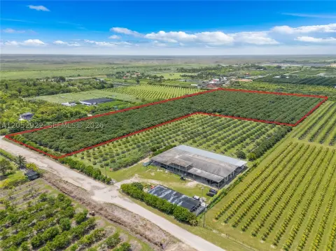 Agricultural Land with Longan Grove