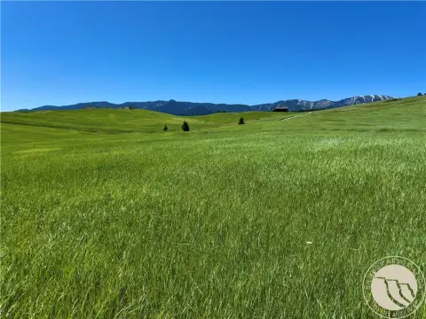 21 Acres in Sheep Mountain Ranch