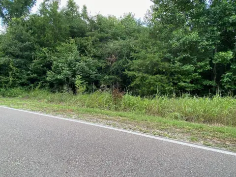 Wooded Waterfront Land with River Access